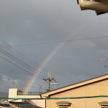 台風の後に「虹」がでました。